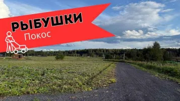 Благоустройство в посёлке Рыбушки