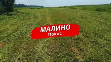 Благоустройство в посёлке Малино